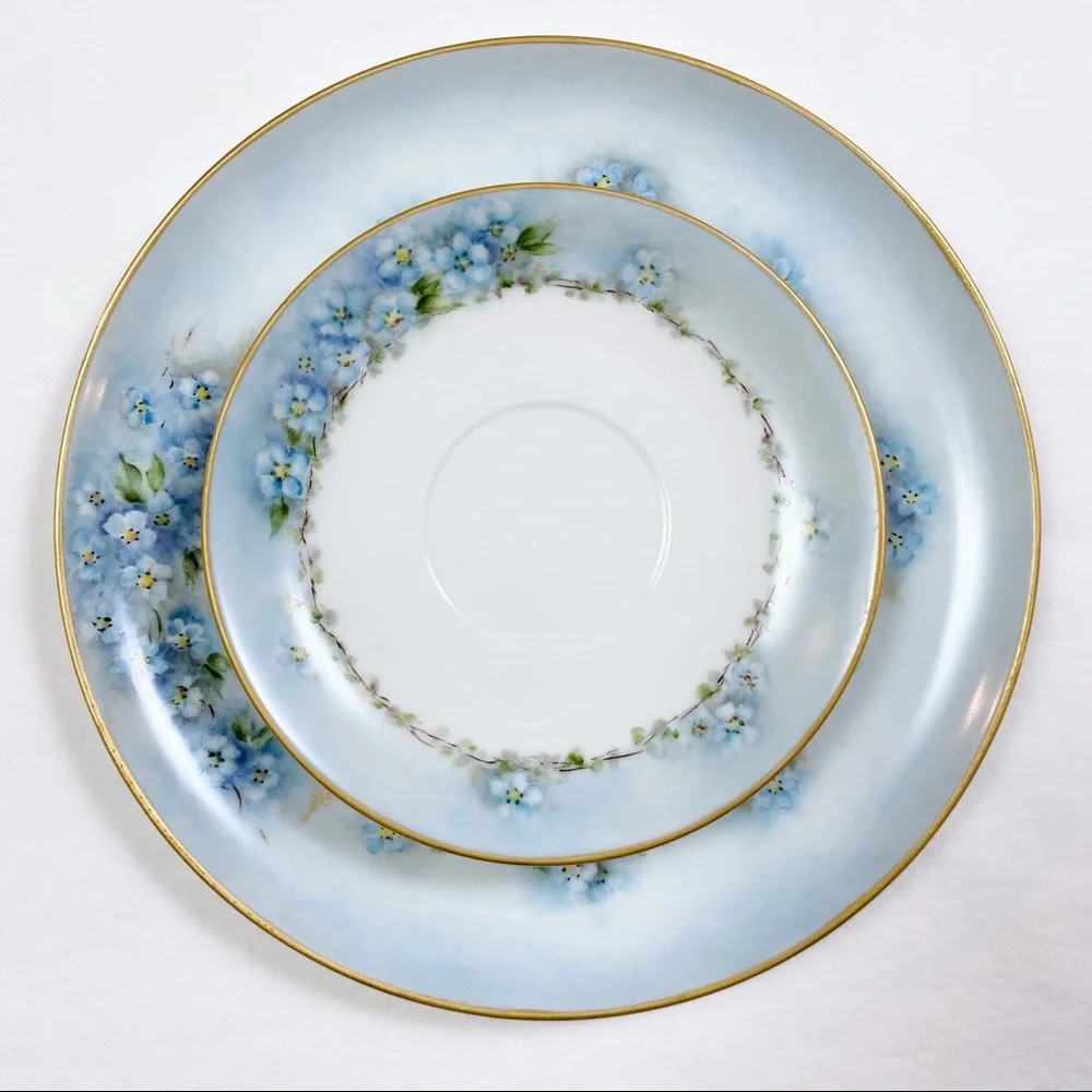 Vintage Set of 2 Hand Painted Blue Floral Plates Gold Trim